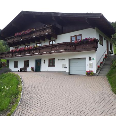 Ferienwohnung Wieser Reizegg 7, 5652 Dienten Dienten am Hochkönig Екстериор снимка